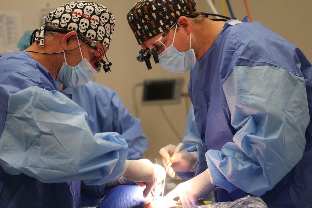 ProMAX clinical work